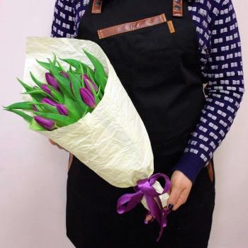 Фиолетовый тюльпан 15 шт (код товара  140295k)